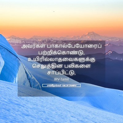 Picture 05 - சங்கீதங்கள் 106:28 TAMIRV - அவர்கள் - Bible Verse Picture