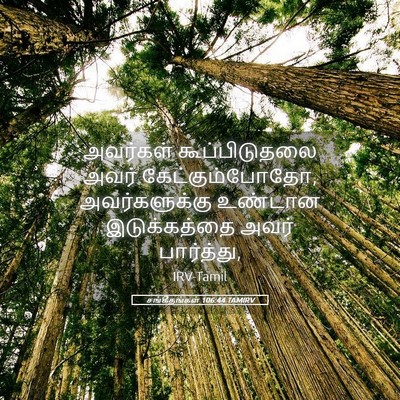 Picture 05 - சங்கீதங்கள் 106:44 TAMIRV - அவர்கள் - Bible Verse Picture