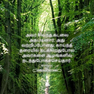Picture 05 - சங்கீதங்கள் 106:9 TAMIRV - அவர் சிவந்த கடலை - Bible Verse Picture