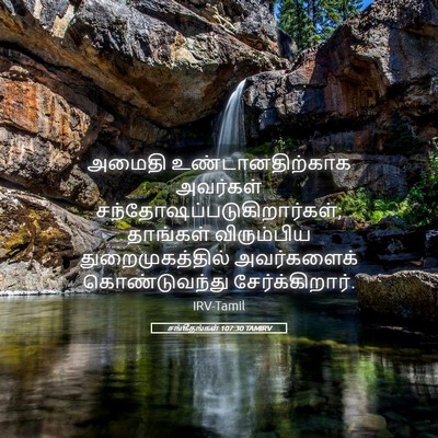 Picture 05 - சங்கீதங்கள் 107:30 TAMIRV - அமைதி - Bible Verse Picture