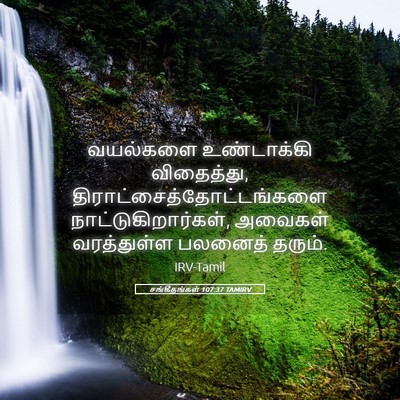 Picture 05 - சங்கீதங்கள் 107:37 TAMIRV - வயல்களை உண்டாக்கி - Bible Verse Picture
