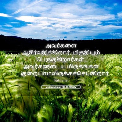 Picture 05 - சங்கீதங்கள் 107:38 TAMIRV - அவர்களை - Bible Verse Picture
