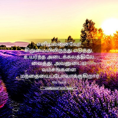 Picture 05 - சங்கீதங்கள் 107:41 TAMIRV - எளியவனையோ - Bible Verse Picture