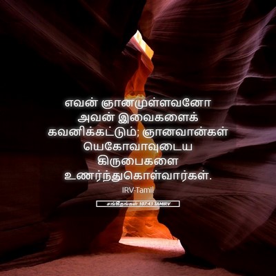 Picture 05 - சங்கீதங்கள் 107:43 TAMIRV - எவன் ஞானமுள்ளவனோ - Bible Verse Picture