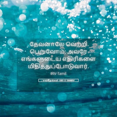 Picture 05 - சங்கீதங்கள் 108:13 TAMIRV - தேவனாலே வெற்றி - Bible Verse Picture
