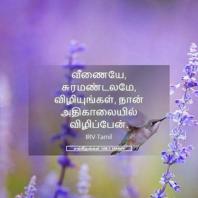 Picture 05 - சங்கீதங்கள் 108:2 TAMIRV - வீணையே, - Bible Verse Picture