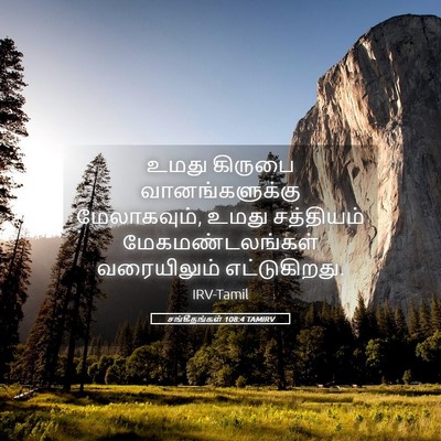 Picture 05 - சங்கீதங்கள் 108:4 TAMIRV - உமது கிருபை - Bible Verse Picture