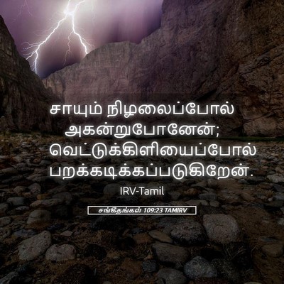 Picture 05 - சங்கீதங்கள் 109:23 TAMIRV - சாயும் - Bible Verse Picture
