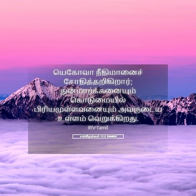 Picture 05 - சங்கீதங்கள் 11:5 TAMIRV - யெகோவா நீதிமானைச் - Bible Verse Picture