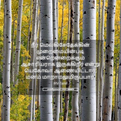 Picture 05 - சங்கீதங்கள் 110:4 TAMIRV - நீர் - Bible Verse Picture