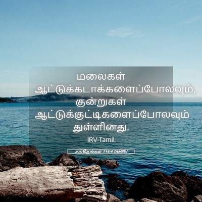 Picture 05 - சங்கீதங்கள் 114:4 TAMIRV - மலைகள் - Bible Verse Picture