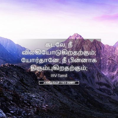 Picture 05 - சங்கீதங்கள் 114:5 TAMIRV - கடலே, நீ - Bible Verse Picture