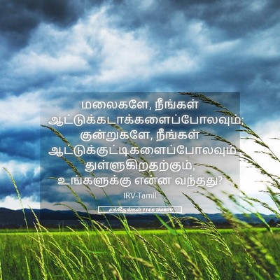 Picture 05 - சங்கீதங்கள் 114:6 TAMIRV - மலைகளே, நீங்கள் - Bible Verse Picture
