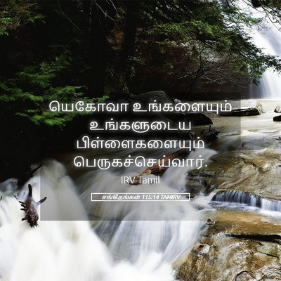 Picture 05 - சங்கீதங்கள் 115:14 TAMIRV - யெகோவா உங்களையும் - Bible Verse Picture