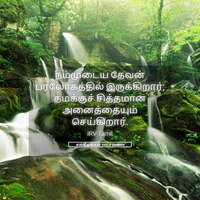 Picture 05 - சங்கீதங்கள் 115:3 TAMIRV - நம்முடைய தேவன் - Bible Verse Picture