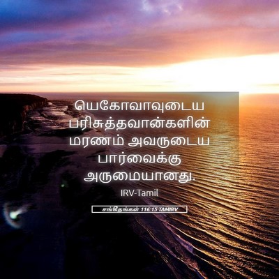 Picture 05 - சங்கீதங்கள் 116:15 TAMIRV - யெகோவாவுடைய - Bible Verse Picture