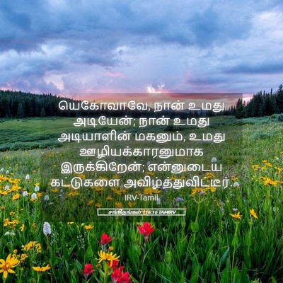 Picture 05 - சங்கீதங்கள் 116:16 TAMIRV - யெகோவாவே, நான் - Bible Verse Picture