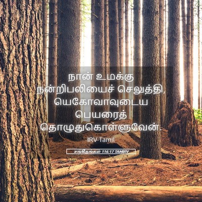 Picture 05 - சங்கீதங்கள் 116:17 TAMIRV - நான் உமக்கு - Bible Verse Picture