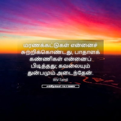 Picture 05 - சங்கீதங்கள் 116:3 TAMIRV - மரணக்கட்டுகள் - Bible Verse Picture