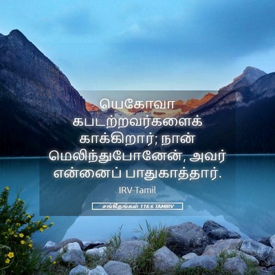 Picture 05 - சங்கீதங்கள் 116:6 TAMIRV - யெகோவா - Bible Verse Picture