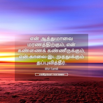 Picture 05 - சங்கீதங்கள் 116:8 TAMIRV - என் ஆத்துமாவை - Bible Verse Picture