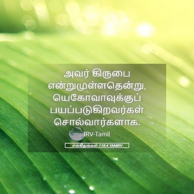 Picture 05 - சங்கீதங்கள் 118:4 TAMIRV - அவர் கிருபை - Bible Verse Picture