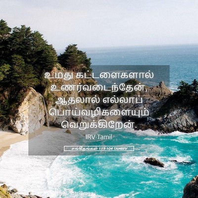 Picture 05 - சங்கீதங்கள் 119:104 TAMIRV - உமது கட்டளைகளால் - Bible Verse Picture