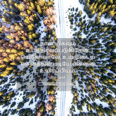 Picture 05 - சங்கீதங்கள் 119:107 TAMIRV - நான் மிகவும் - Bible Verse Picture