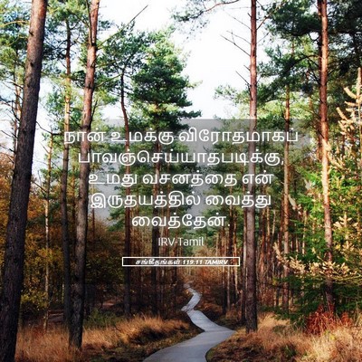 Picture 05 - சங்கீதங்கள் 119:11 TAMIRV - நான் உமக்கு - Bible Verse Picture