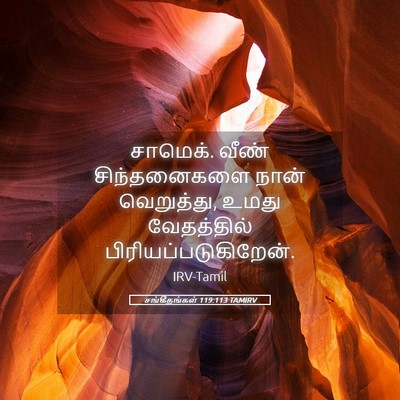 Picture 05 - சங்கீதங்கள் 119:113 TAMIRV - சாமெக். வீண் - Bible Verse Picture