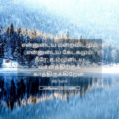 Picture 05 - சங்கீதங்கள் 119:114 TAMIRV - என்னுடைய - Bible Verse Picture