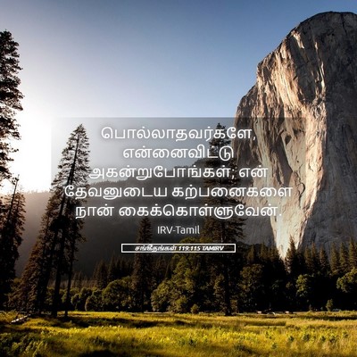 Picture 05 - சங்கீதங்கள் 119:115 TAMIRV - பொல்லாதவர்களே, - Bible Verse Picture