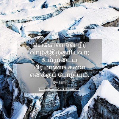 Picture 05 - சங்கீதங்கள் 119:12 TAMIRV - யெகோவாவே, நீர் - Bible Verse Picture