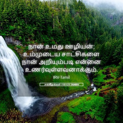Picture 05 - சங்கீதங்கள் 119:125 TAMIRV - நான் உமது ஊழியன்; - Bible Verse Picture