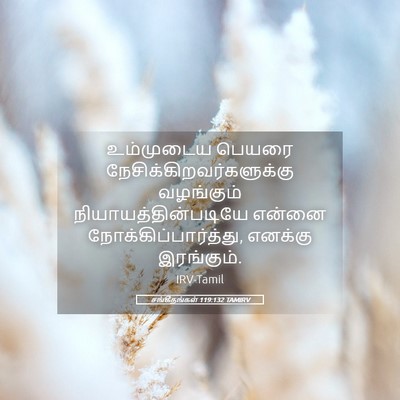 Picture 05 - சங்கீதங்கள் 119:132 TAMIRV - உம்முடைய பெயரை - Bible Verse Picture