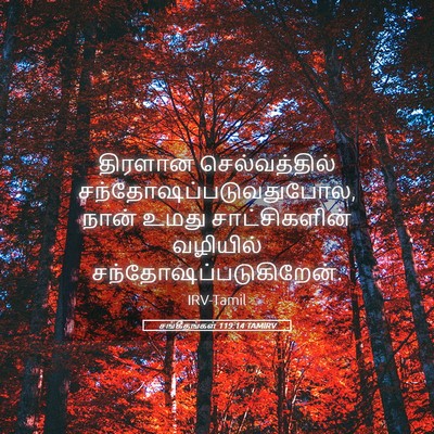 Picture 05 - சங்கீதங்கள் 119:14 TAMIRV - திரளான - Bible Verse Picture