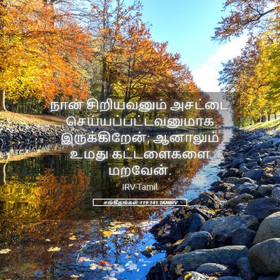 Picture 05 - சங்கீதங்கள் 119:141 TAMIRV - நான் சிறியவனும் - Bible Verse Picture