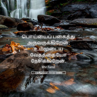 Picture 05 - சங்கீதங்கள் 119:163 TAMIRV - பொய்யைப் பகைத்து - Bible Verse Picture