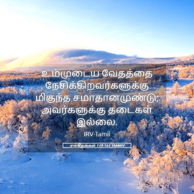 Picture 05 - சங்கீதங்கள் 119:165 TAMIRV - உம்முடைய வேதத்தை - Bible Verse Picture