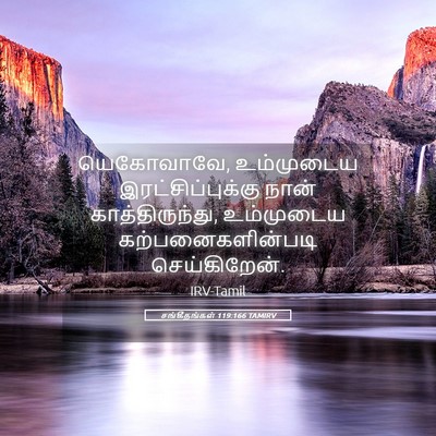 Picture 05 - சங்கீதங்கள் 119:166 TAMIRV - யெகோவாவே, - Bible Verse Picture