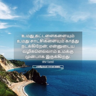 Picture 05 - சங்கீதங்கள் 119:168 TAMIRV - உமது - Bible Verse Picture