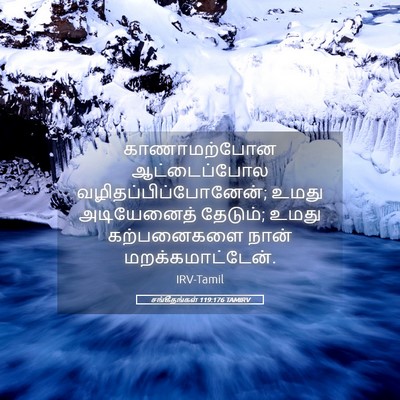 Picture 05 - சங்கீதங்கள் 119:176 TAMIRV - காணாமற்போன - Bible Verse Picture