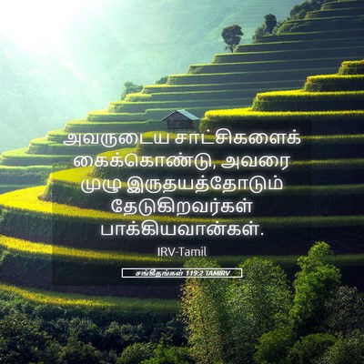 Picture 05 - சங்கீதங்கள் 119:2 TAMIRV - அவருடைய - Bible Verse Picture