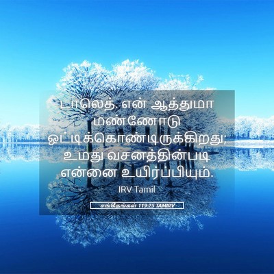 Picture 05 - சங்கீதங்கள் 119:25 TAMIRV - டாலெத். என் - Bible Verse Picture