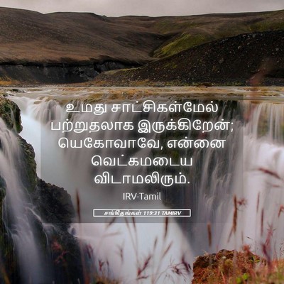 Picture 05 - சங்கீதங்கள் 119:31 TAMIRV - உமது - Bible Verse Picture