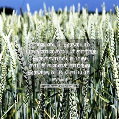 Picture 05 - சங்கீதங்கள் 119:36 TAMIRV - என்னுடைய இருதயம் - Bible Verse Picture