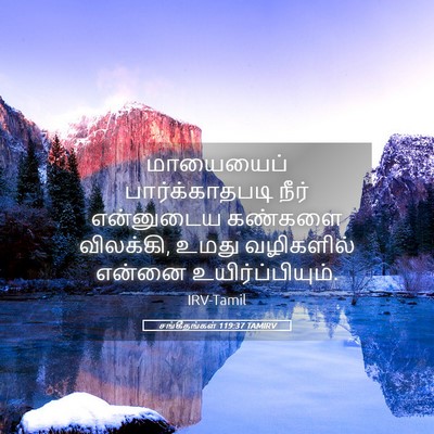 Picture 05 - சங்கீதங்கள் 119:37 TAMIRV - மாயையைப் - Bible Verse Picture