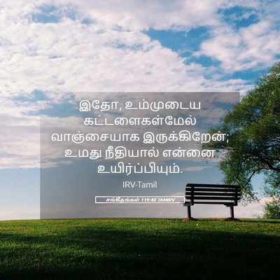 Picture 05 - சங்கீதங்கள் 119:40 TAMIRV - இதோ, உம்முடைய - Bible Verse Picture