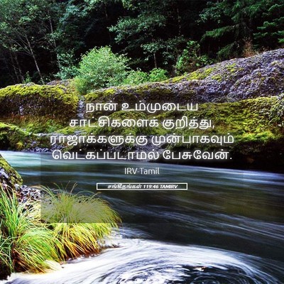 Picture 05 - சங்கீதங்கள் 119:46 TAMIRV - நான் உம்முடைய - Bible Verse Picture