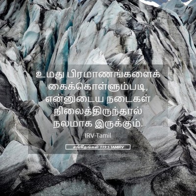Picture 05 - சங்கீதங்கள் 119:5 TAMIRV - உமது - Bible Verse Picture